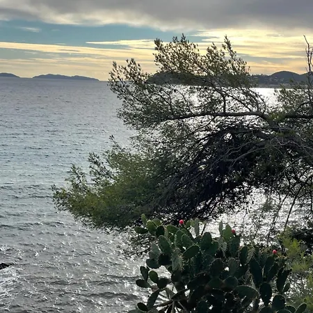 Bruno, Vue Mer, Avec Piscine, Golfe De Saint Tropez Apartment La Croix-Valmer